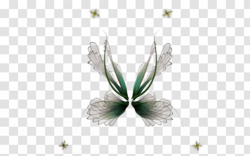 Butterfly Fairy Insect Pollinator Petal - Wings Transparent PNG