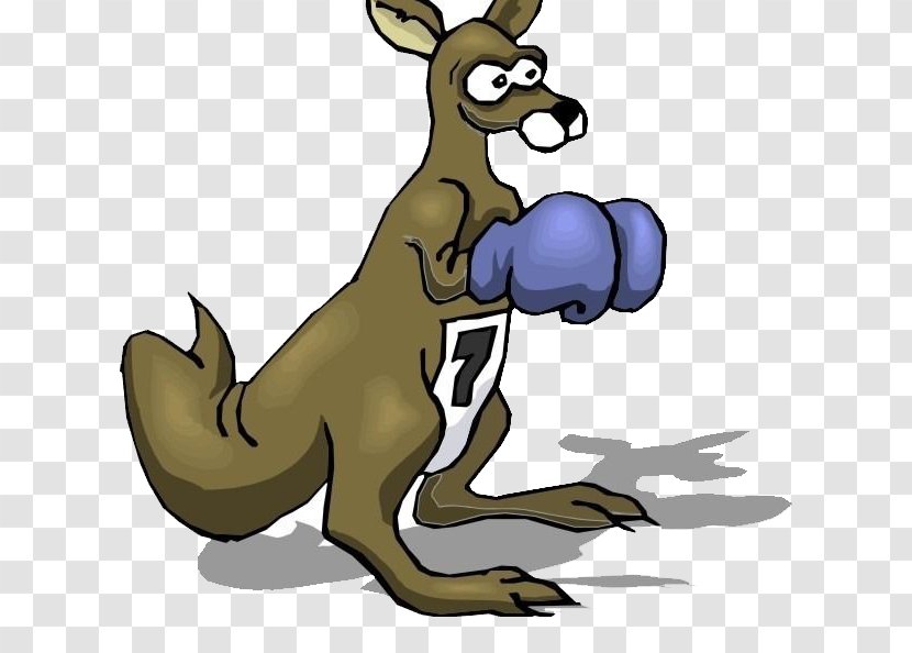 T-shirt Boxing Kangaroo Glove - Shirt - Boxer Transparent PNG