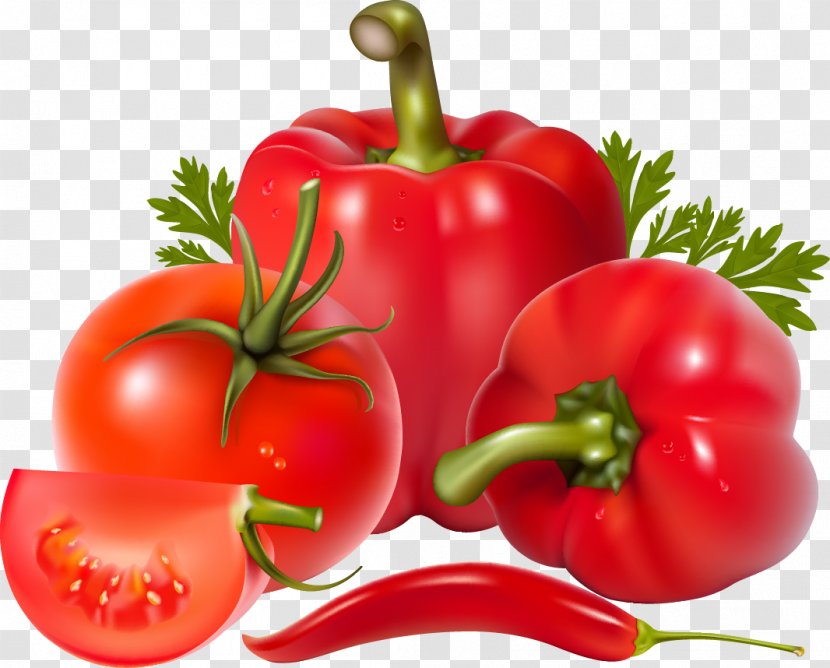 Bell Pepper Salsa Chili Vegetable Clip Art - Food - Tomato Transparent PNG