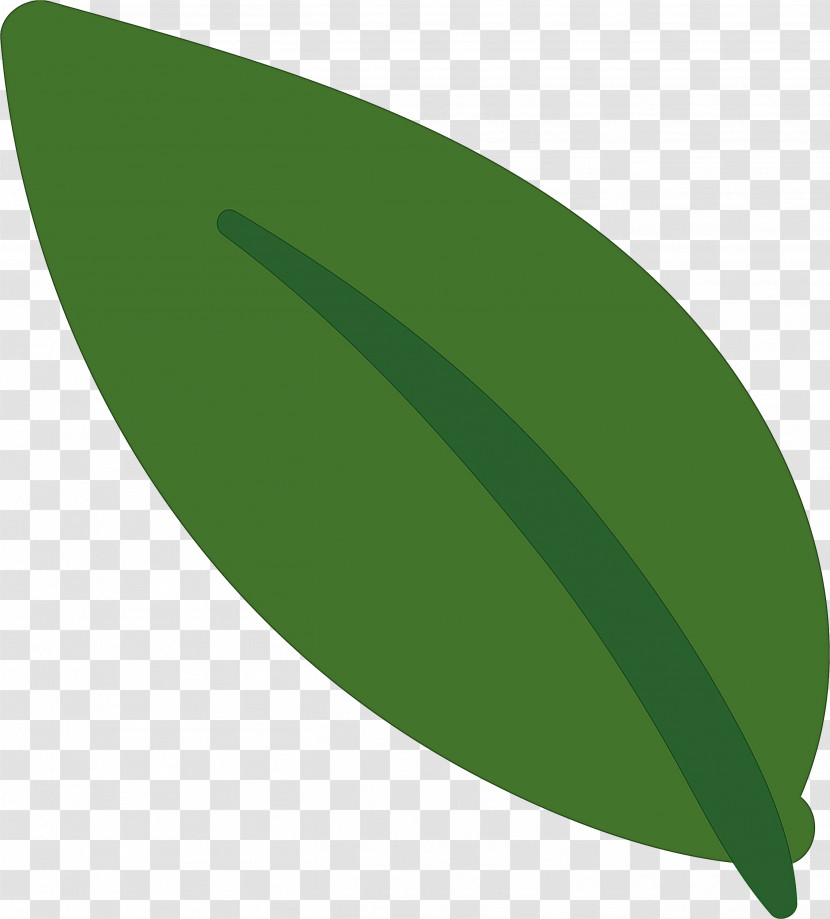 Leaf Transparent PNG