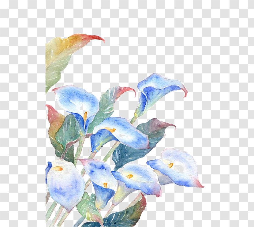 Watercolor Painting Flower Illustration - Petal - Blue Flowers Transparent PNG