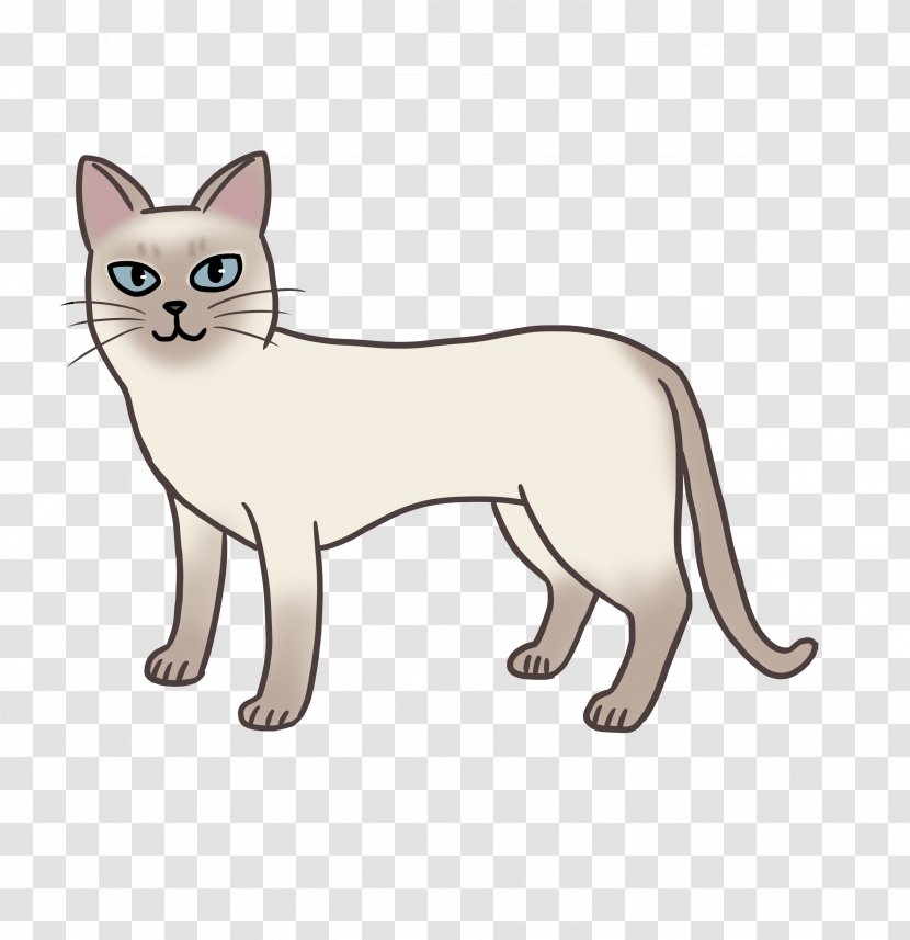 Whiskers Burmese Cat Kitten Domestic Short-haired Wildcat - Shorthaired Transparent PNG