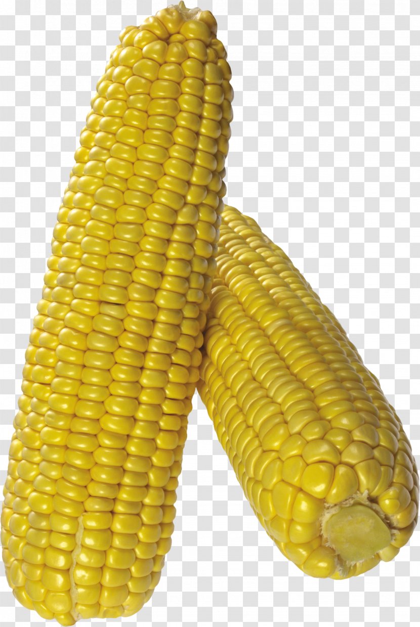 Maize Corn On The Cob Popcorn Field - Produce - Image Transparent PNG