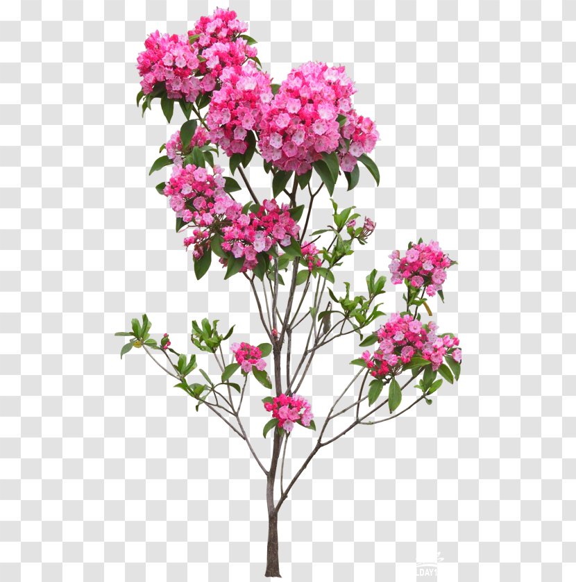 Flowerpot Tree - Landscaping - Flower Transparent PNG