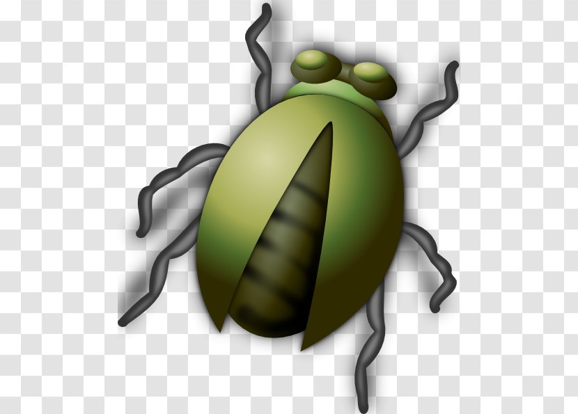 Beetle Free Content Clip Art - Blog - Buddy Cliparts Transparent PNG