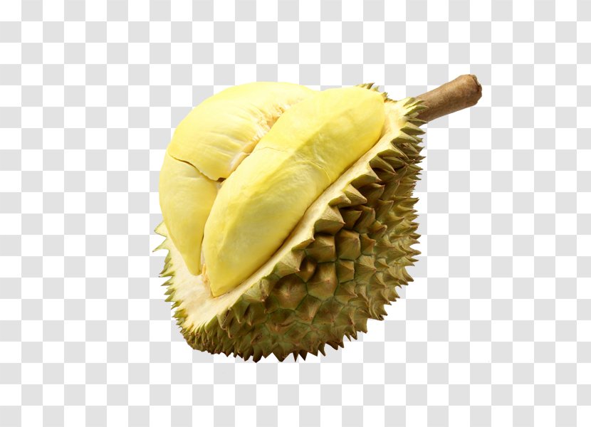 Thai Cuisine Durio Zibethinus Fruit Singaporean Food - Ingredient - Durian Transparent PNG