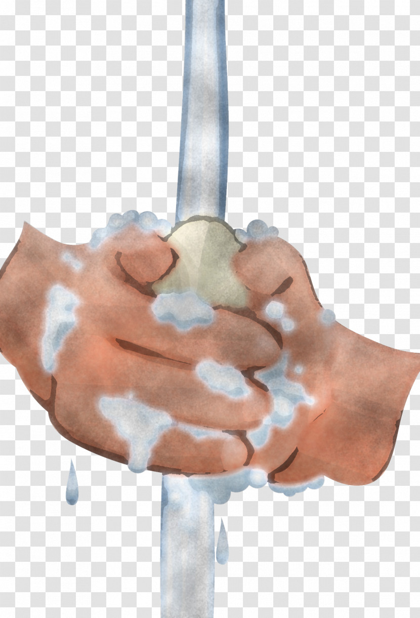 Hand Finger Joint Muscle Thumb Transparent PNG