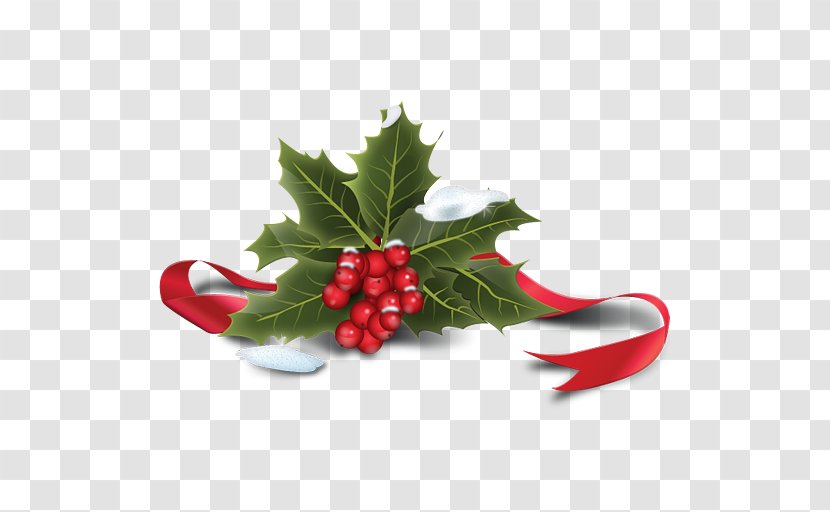 Common Holly Santa Claus Christmas - Plant - Icon Transparent PNG