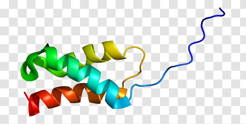 DEK Oncogene Protein DNA - Text Transparent PNG
