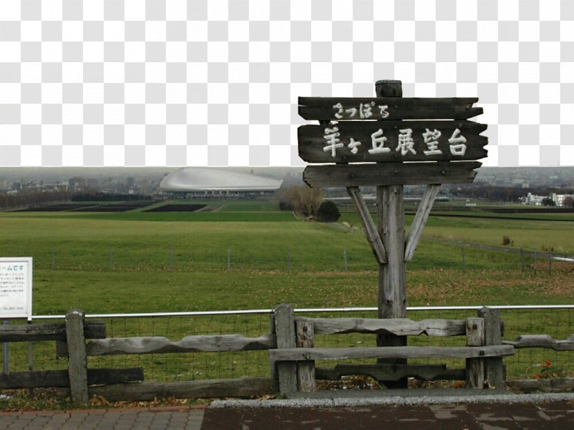 Hitsujigaoka Observation Hill Infrastructure Iron Landscape Land Lot - Fukei - Sapporo Observatory Sheep Transparent PNG