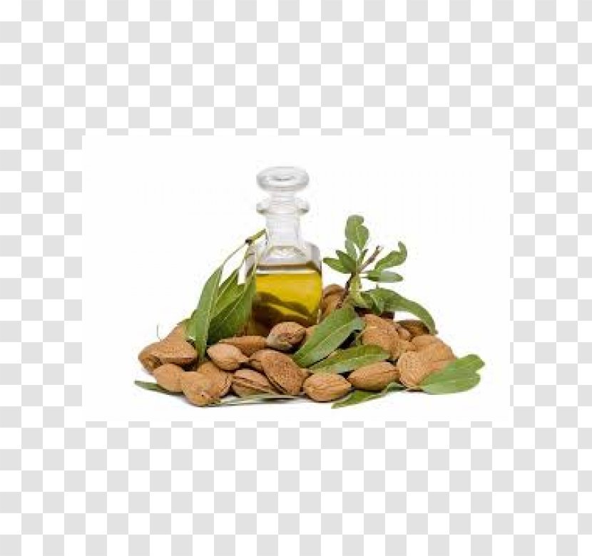 Glass Bottle Herbalism Vegetable Oil Alternative Health Services Soybean - Almond Transparent PNG