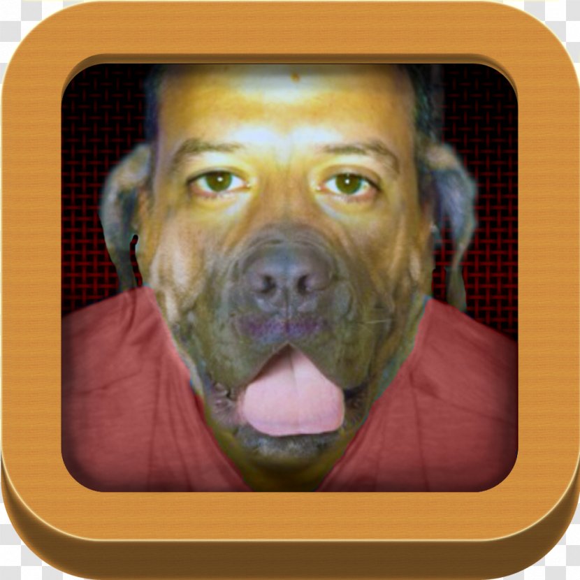 Dog Breed Snout - Like Mammal Transparent PNG