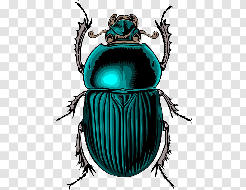 Scarab Dung Beetle Clip Art - European Rose Chafer - Ferny Is A Bug Transparent PNG
