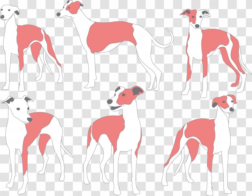 Whippet Italian Greyhound Galgo Espaxf1ol Dog Breed - Painted Transparent PNG
