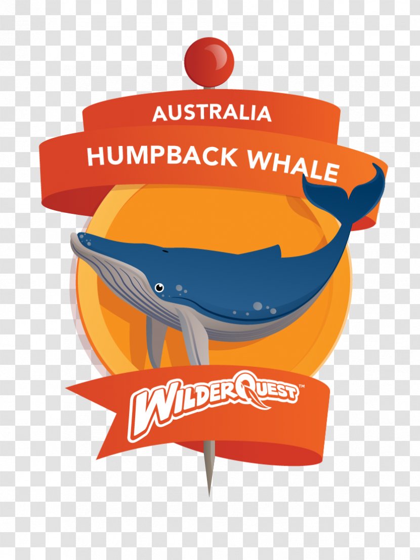 Logo Humpback Whale Cetacea - Text Transparent PNG