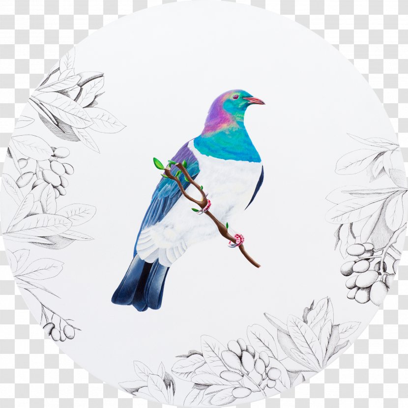 New Zealand Pigeon Bird Drawing Art - Kiwi - Watercolor Transparent PNG