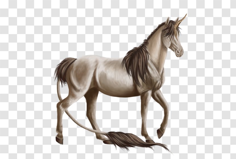 Mustang Stallion Mare Bridle Halter - Pony Transparent PNG