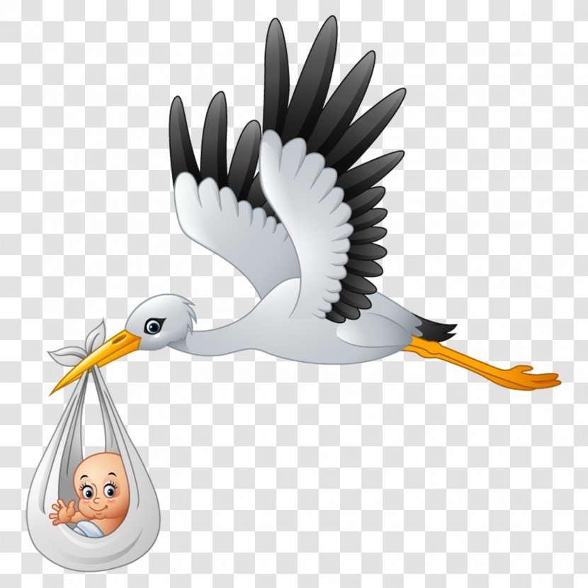 Royalty-free Stork Clip Art - Stock Photography Transparent PNG