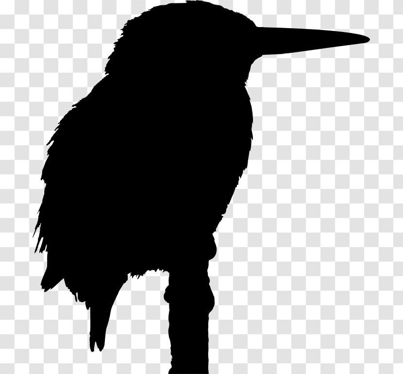 Big Bird Belted Kingfisher Clip Art - Drawing Transparent PNG