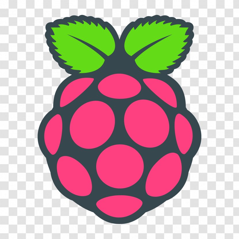 Raspberry Pi Foundation Computer Cases & Housings Raspbian - Raspberries Transparent PNG