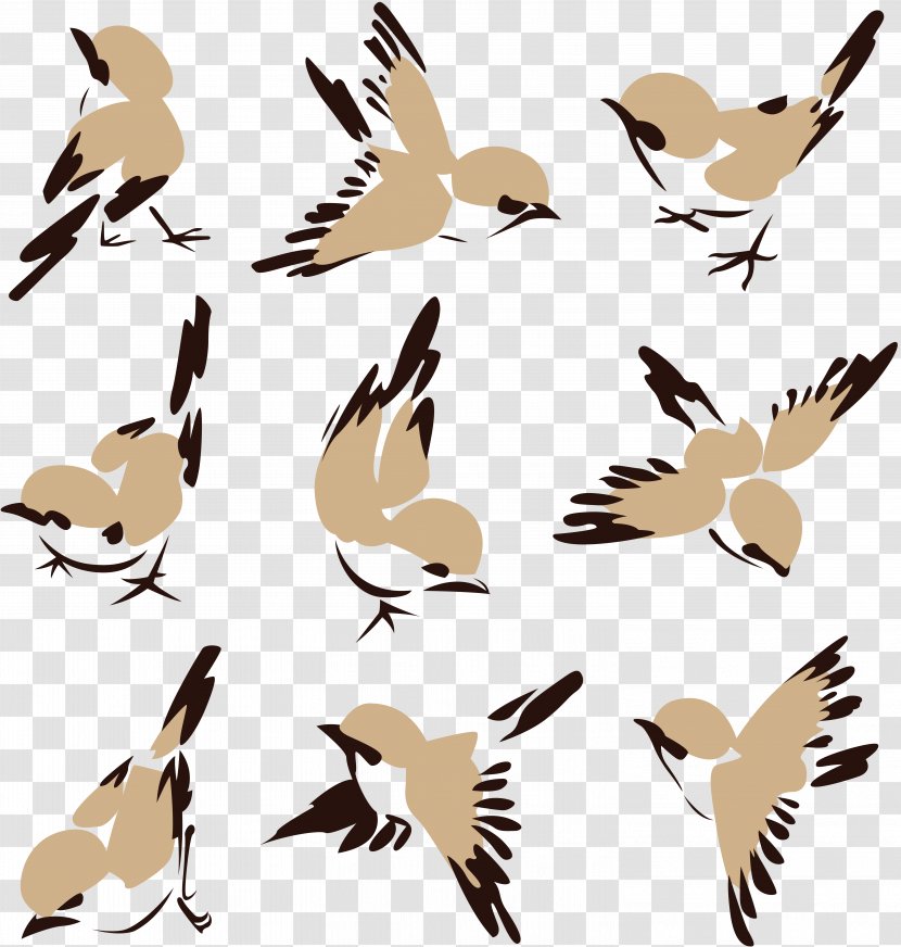 Bird Sparrow Clip Art - Fauna Transparent PNG