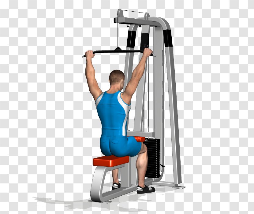 Pulldown Exercise Weight Training Latissimus Dorsi Muscle - Abdomen - Neck Transparent PNG