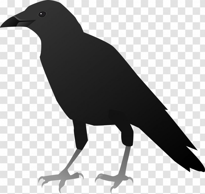 American Crow New Caledonian Clip Art - Silhouette Transparent PNG