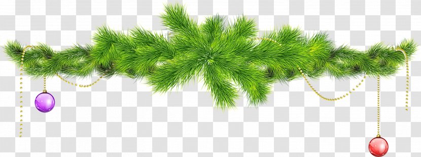 Christmas Tree White - Pine - Dill Plant Stem Transparent PNG