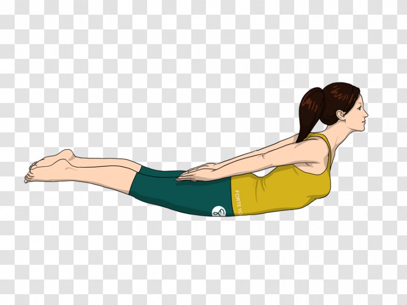Yoga Salabhasana Exercise Plank - Flower - Cartoon Transparent PNG