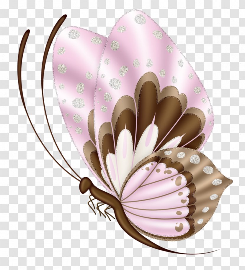 Butterfly Clip Art Drawing Image - Flower Transparent PNG