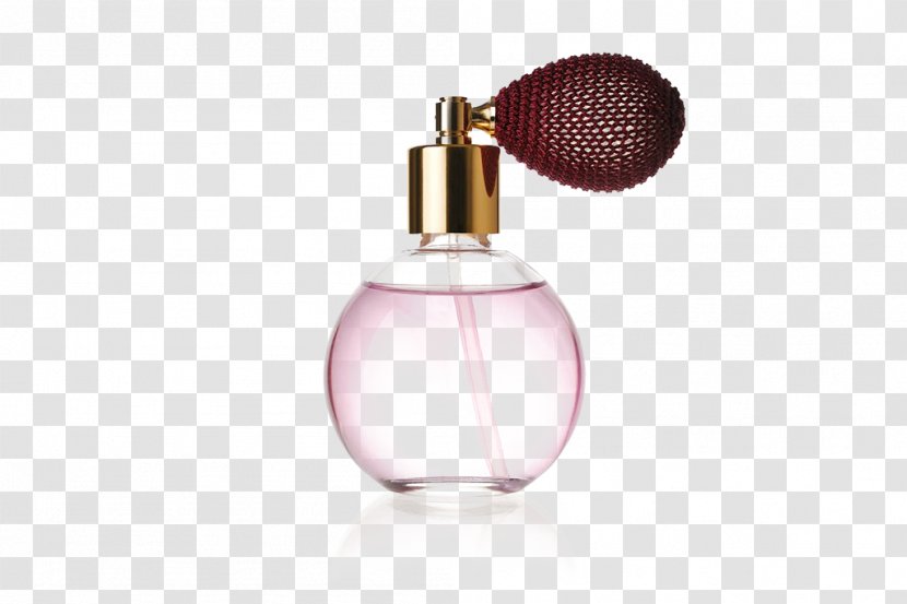 Glass Bottle Perfume Clip Art - Microscope Slide Transparent PNG