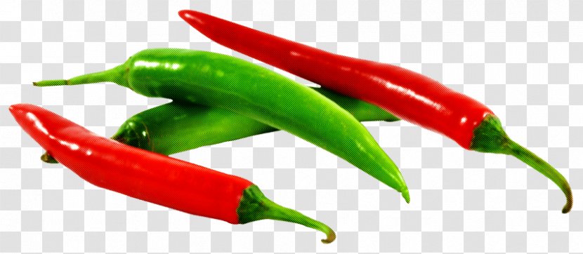 Serrano Pepper Bird's Eye Chili Malagueta Tabasco - Peperoncini - Vegetable Cayenne Transparent PNG