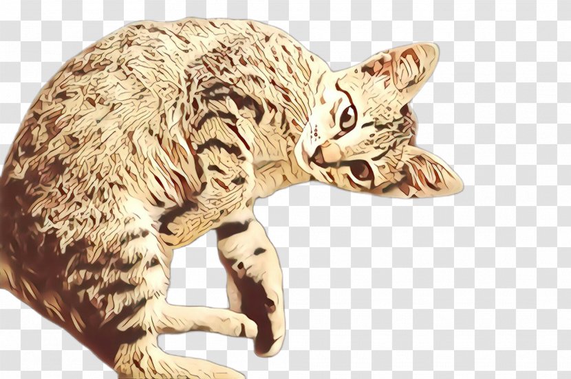 Cat Small To Medium-sized Cats Ocicat Terrestrial Animal European Shorthair - California Spangled Transparent PNG