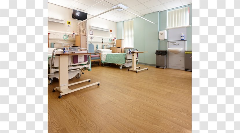 Croydon University Hospital Floor Prince Philip Dental - Hardwood - Wood Transparent PNG