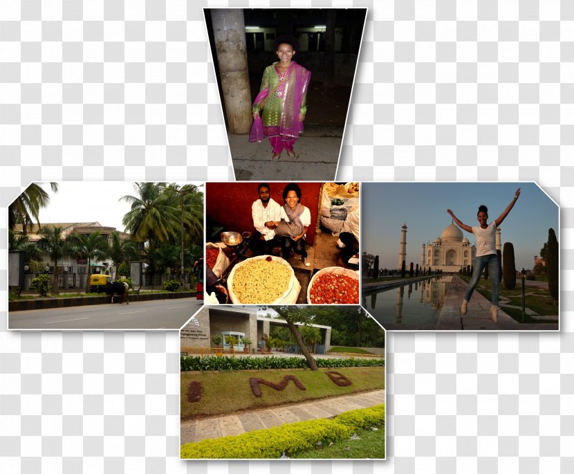 Advertising Collage Brand Tourism - Incredible India Transparent PNG