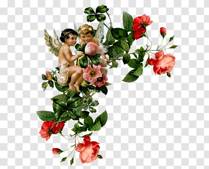 Floral Design Image Bokmärke Angel Vector Graphics - Rose Family Transparent PNG