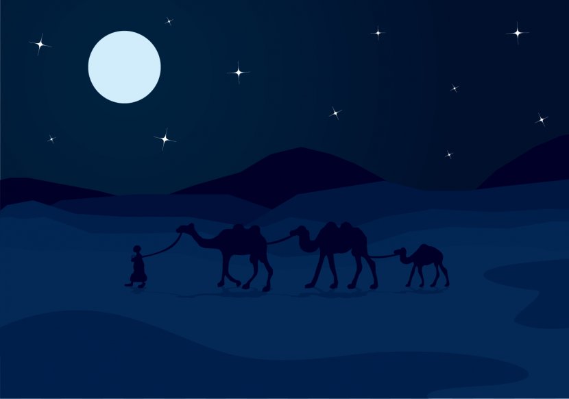Moonlight Sky Night Illustration - Light - Vector Camel Transparent PNG