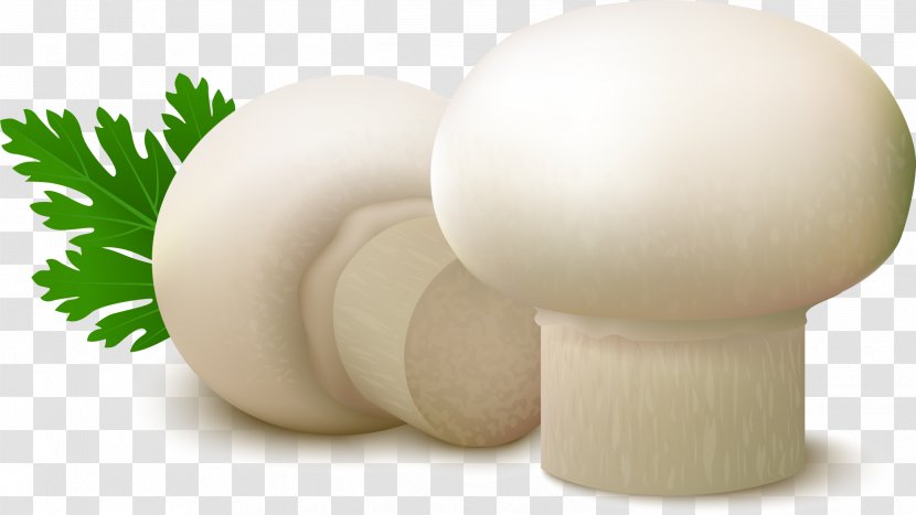 Common Mushroom Food Fungus - Champignon - White Delicious Transparent PNG
