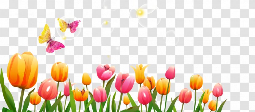 Tulip Flower Icon - Petal - Rose Transparent PNG