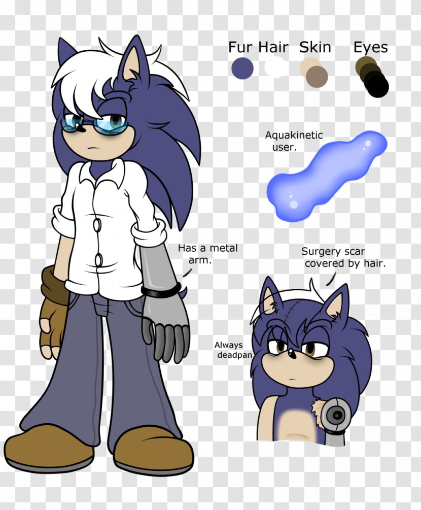 Cat Sonic The Hedgehog Ariciul Father - Cartoon Transparent PNG