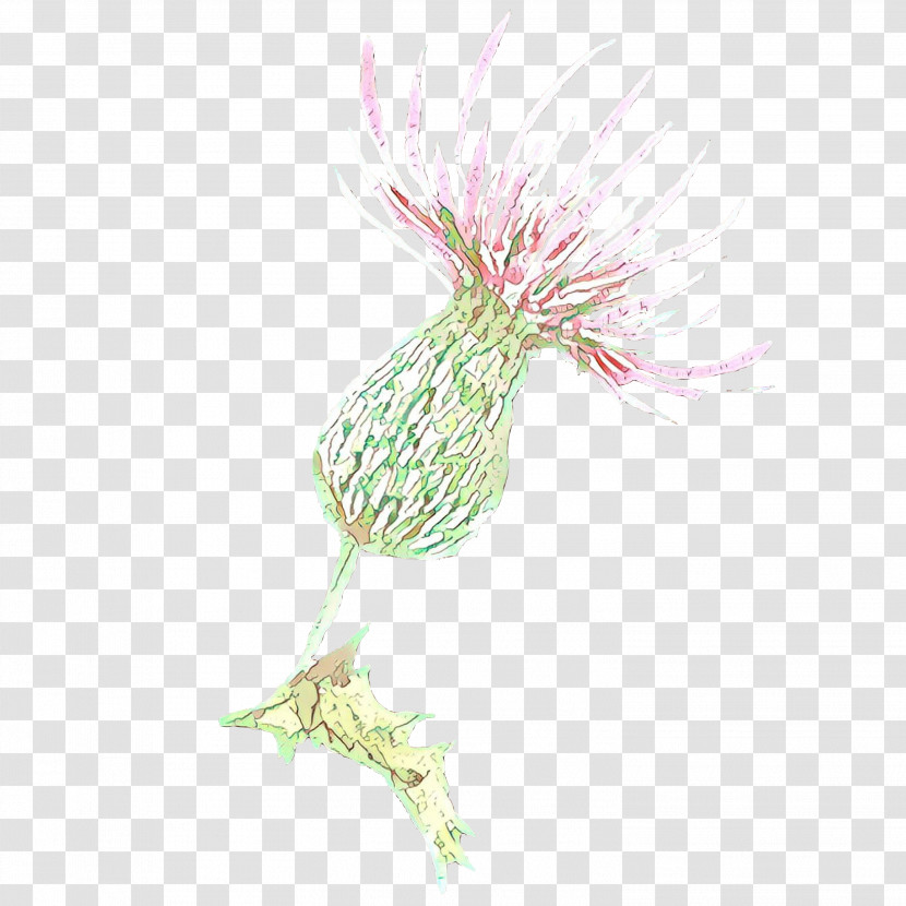 Pink Plant Flower Thistle Transparent PNG