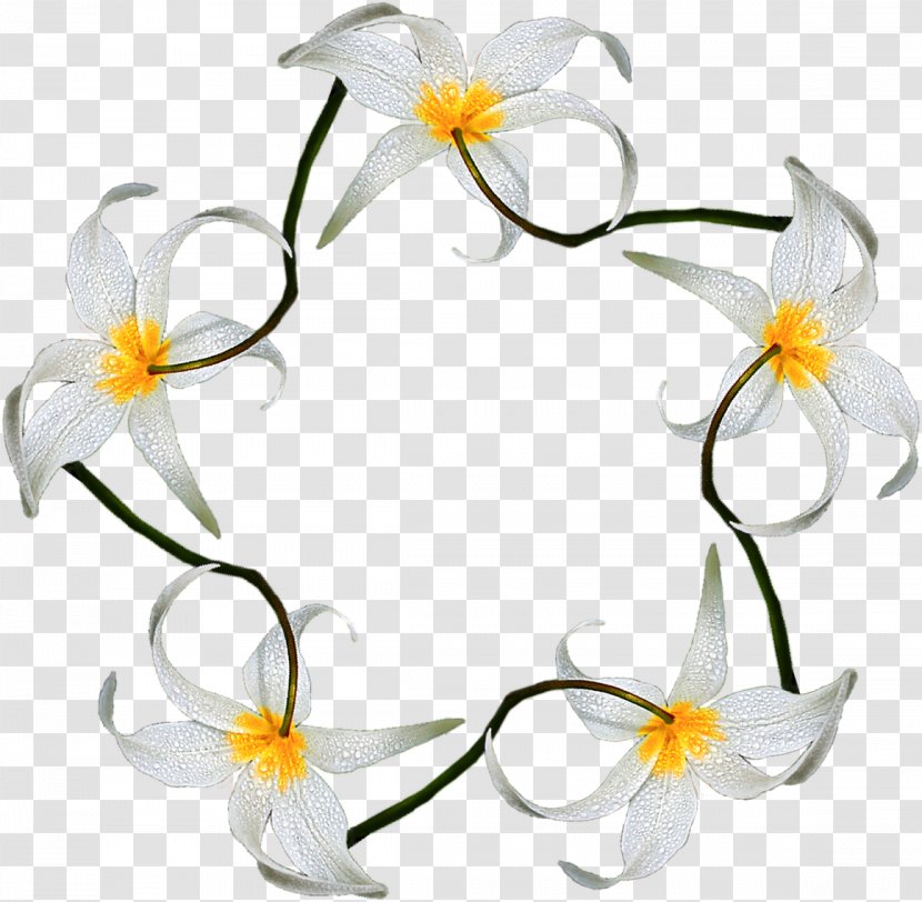 Floral Design Desktop Wallpaper Flower Clip Art - Plant - Stamens Transparent PNG