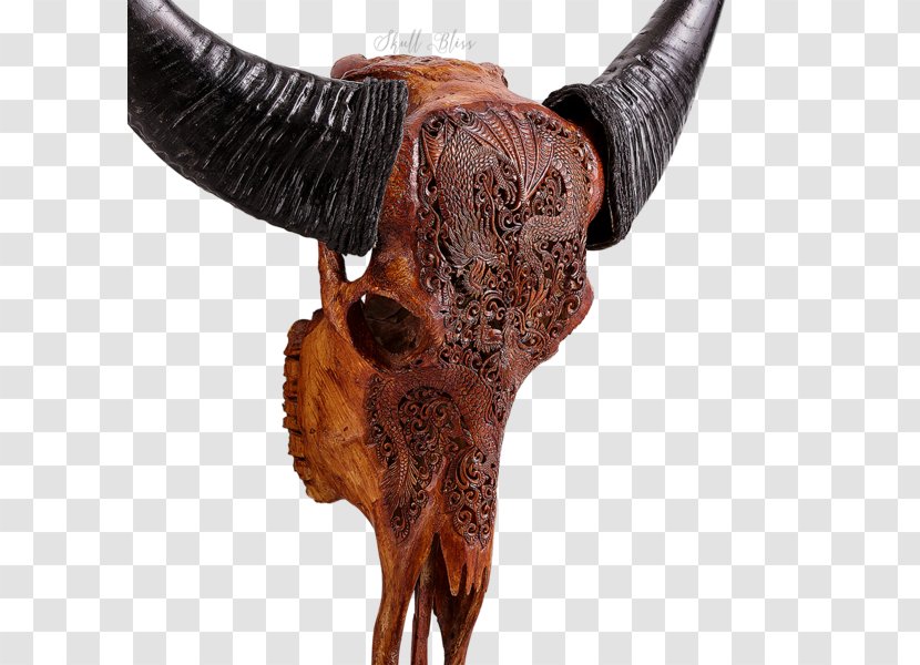 Bison Antiquus Horn Skull Bone Cattle - Ram - Buffalo Transparent PNG