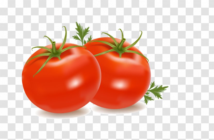 Cherry Tomato Clip Art - Sauce Transparent PNG