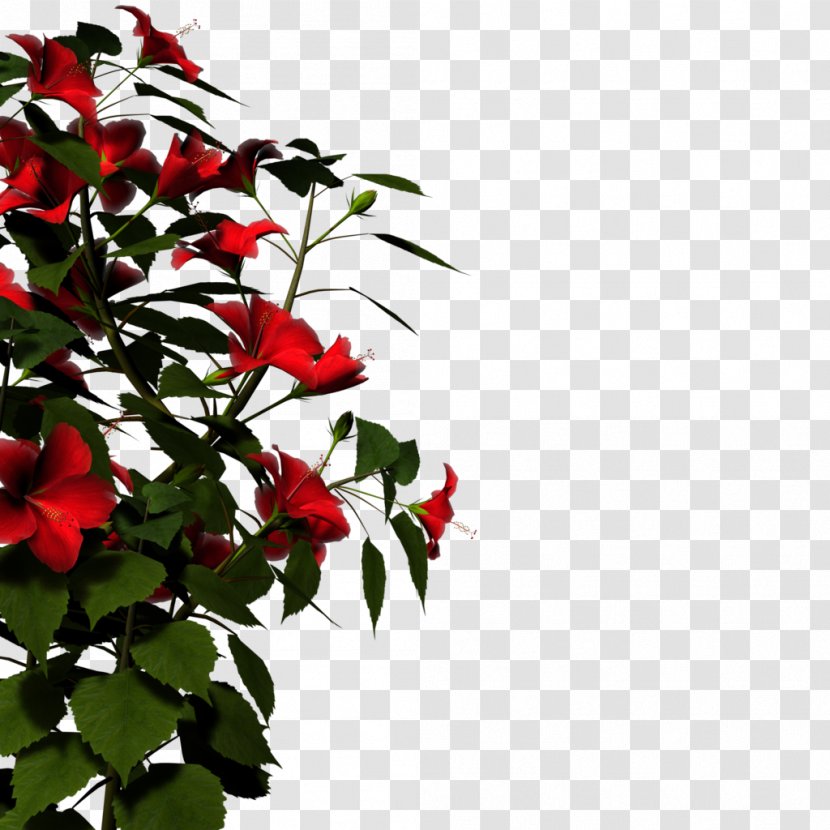 Flower Clip Art - Red - Nature HD Transparent PNG