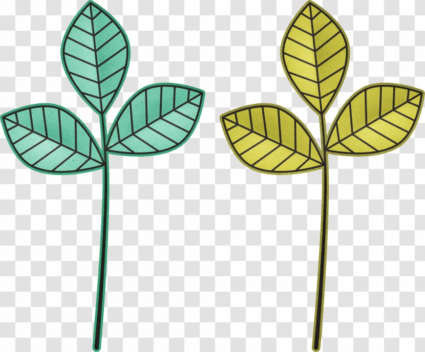 Paper Leaf Sketch Story Ansichtkaart - Flowering Plant Transparent PNG