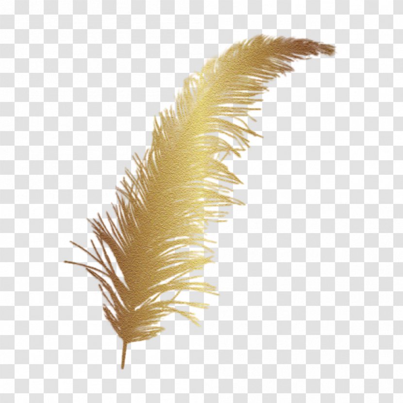 Feather Clip Art Vector Graphics Image - Boa - Plume Transparent PNG