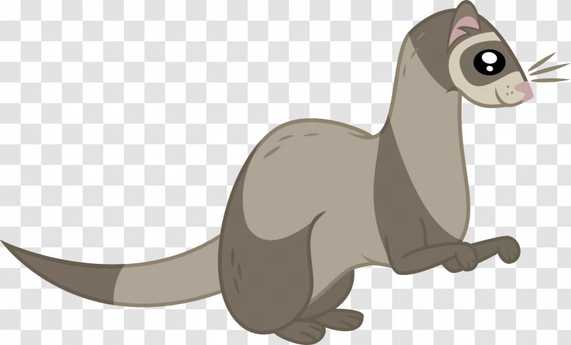 Cat Ferret Mustelids Mammal Horse - Artist Transparent PNG