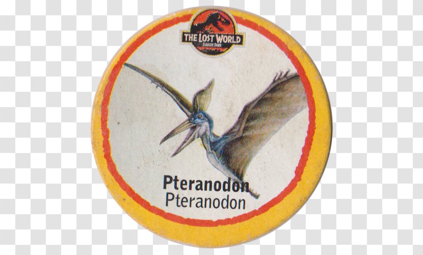 Pteranodon Jurassic Park The Lost World Dinosaur Geosternbergia - Wing Transparent PNG