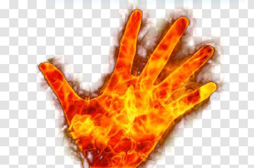 Flame Combustion Hand Euclidean Vector - Dlan - Palms Transparent PNG